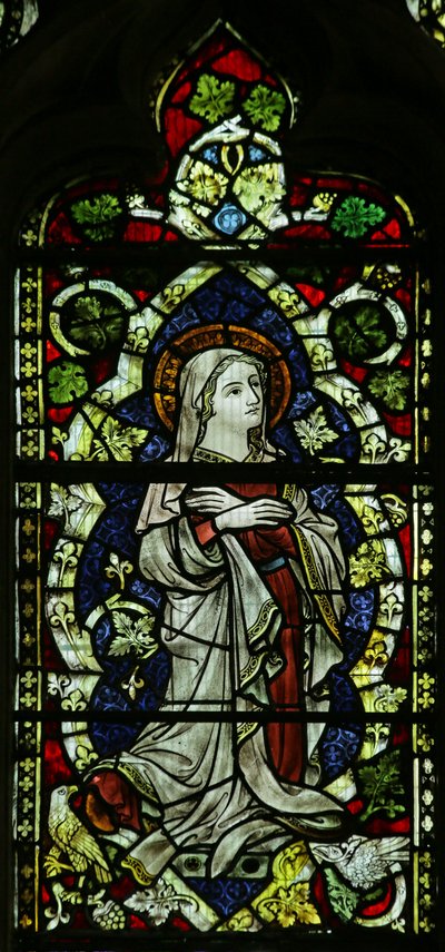 La Vergine Maria sull